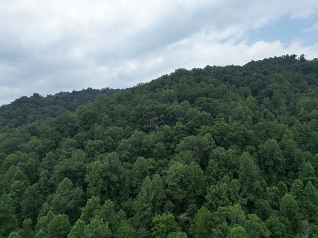 Image for 95 Surveyed Acres in Boone County