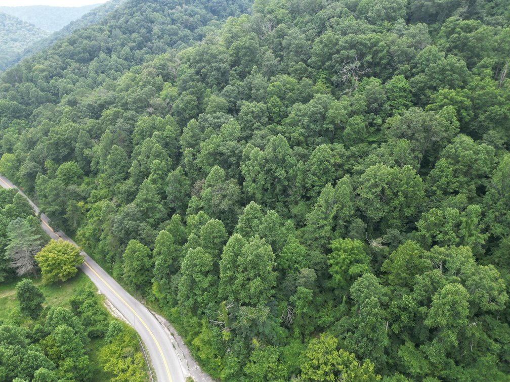Image for 95 Surveyed Acres in Boone County