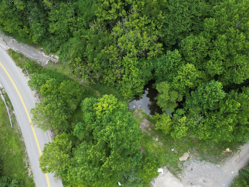 Image for 95 Surveyed Acres in Boone County