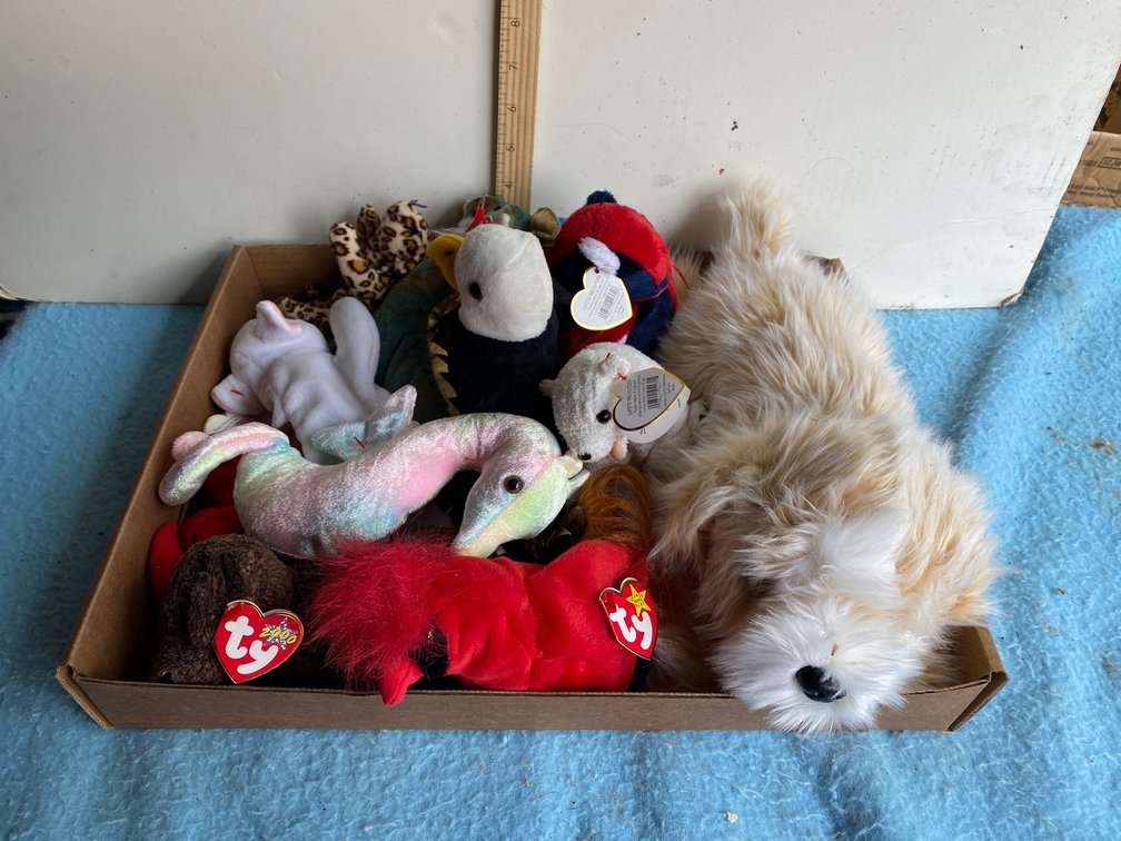 Beanie babies, etc.