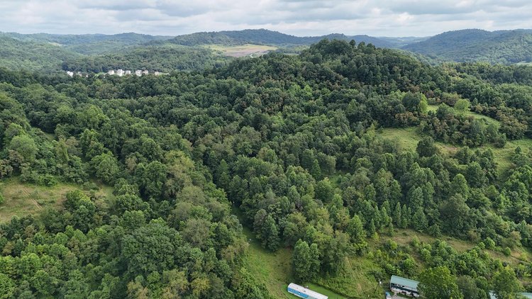 Image for 71.6 Acres Along Husky Highway in Marion County