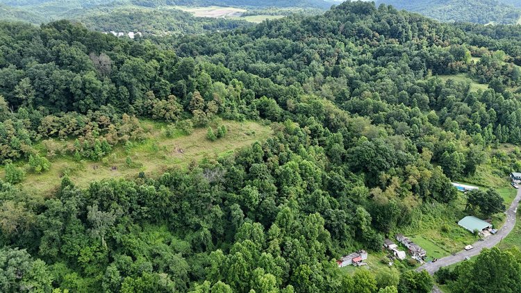 Image for 71.6 Acres Along Husky Highway in Marion County