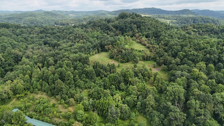 Image for 71.6 Acres Along Husky Highway in Marion County