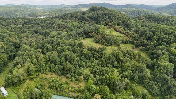 Image for 71.6 Acres Along Husky Highway in Marion County
