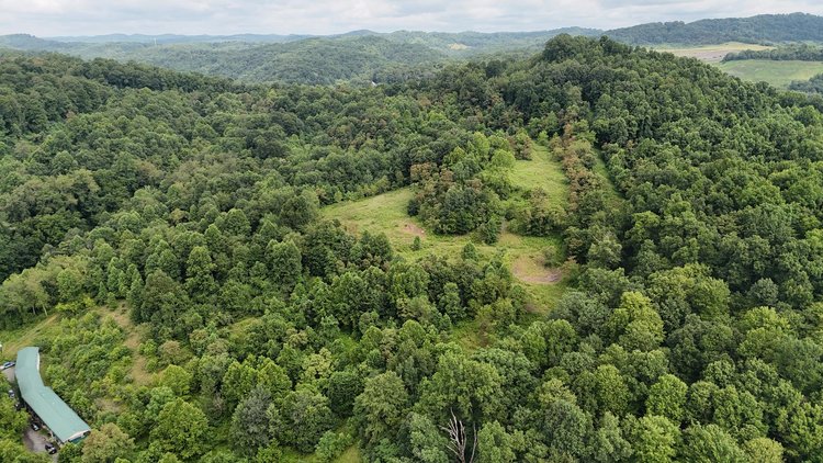 Image for 71.6 Acres Along Husky Highway in Marion County