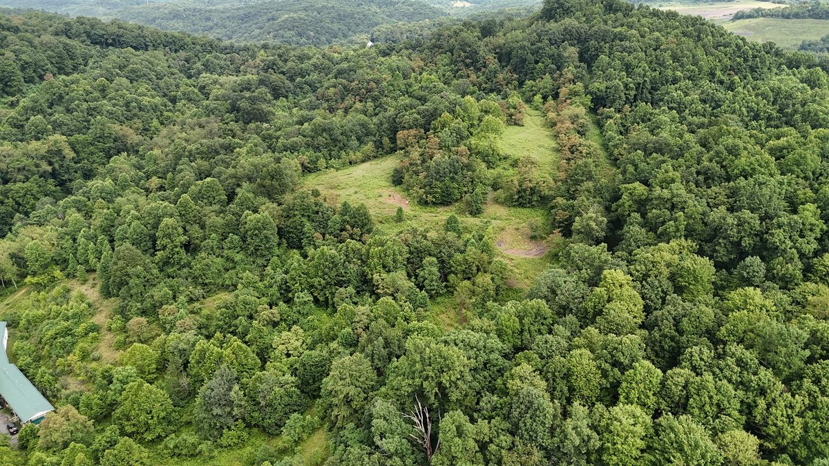 Image for 71.6 Acres Along Husky Highway in Marion County