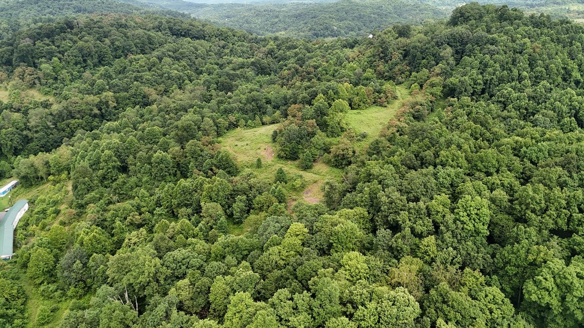 Image for 71.6 Acres Along Husky Highway in Marion County