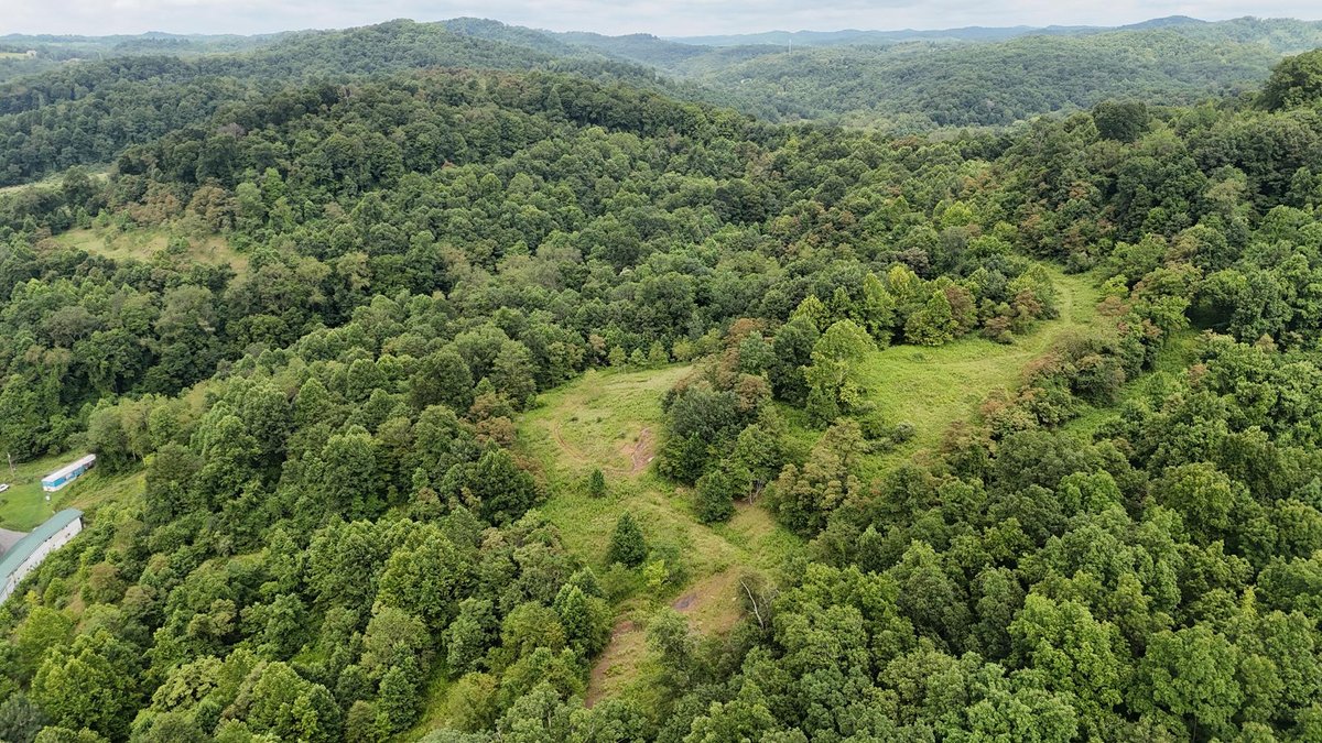 Image for 71.6 Acres Along Husky Highway in Marion County