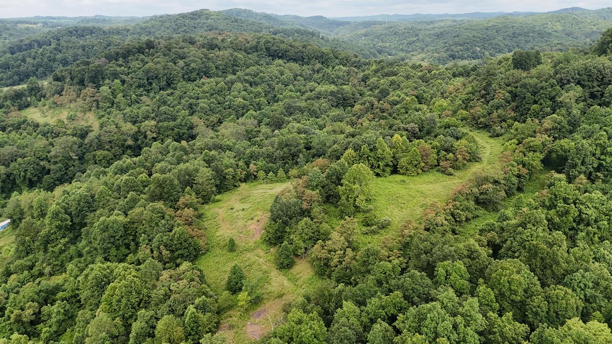 Image for 71.6 Acres Along Husky Highway in Marion County