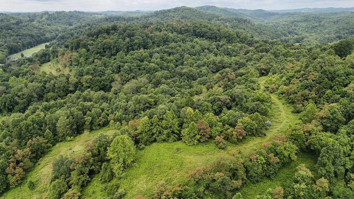Image for 71.6 Acres Along Husky Highway in Marion County