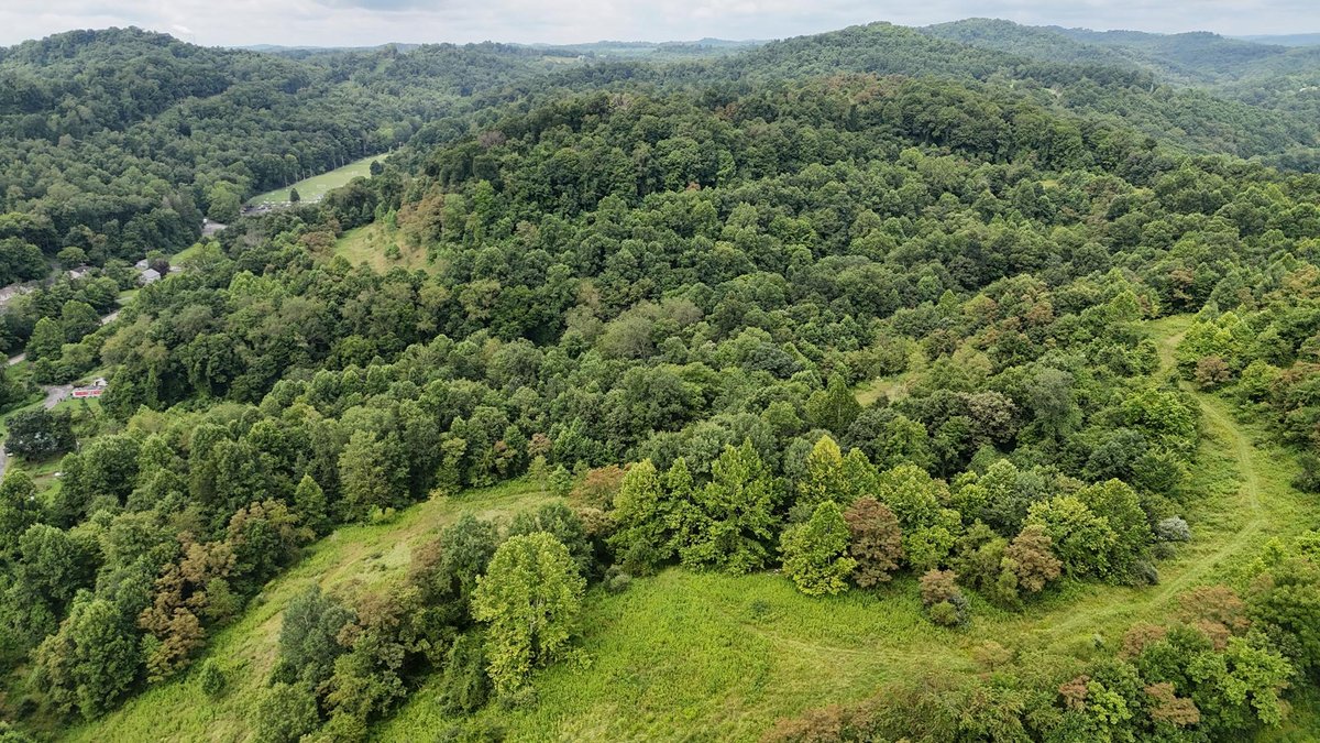 Image for 71.6 Acres Along Husky Highway in Marion County