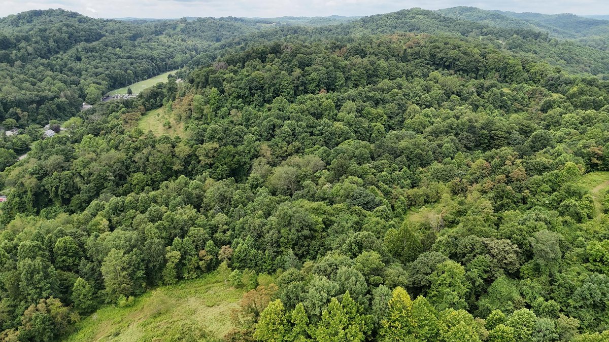 Image for 71.6 Acres Along Husky Highway in Marion County