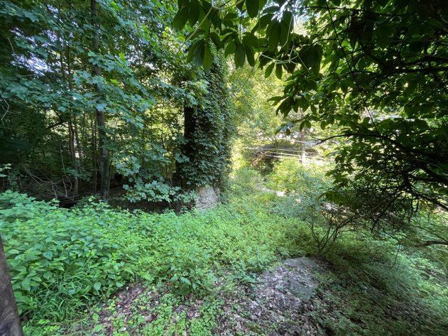 Image for Two Income Generating Homes on 1.4 Acres in Kanawha City