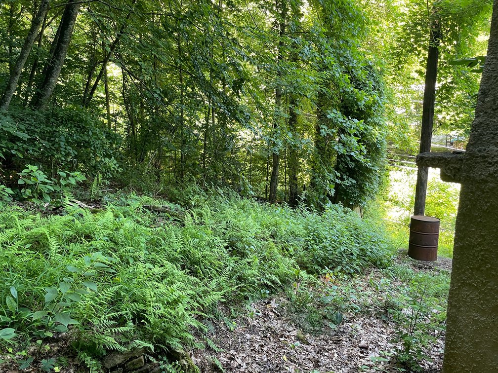 Image for Two Income Generating Homes on 1.4 Acres in Kanawha City