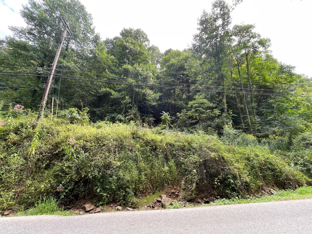 Image for Two Income Generating Homes on 1.4 Acres in Kanawha City