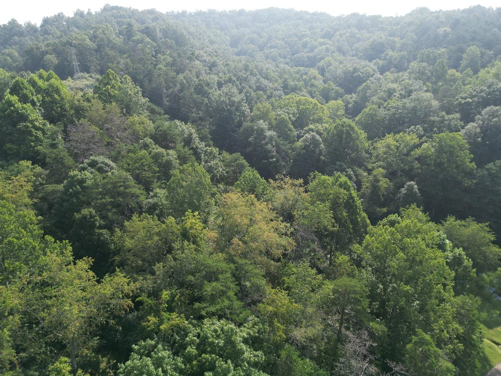 Image for Over 30 Acres in Putnam County