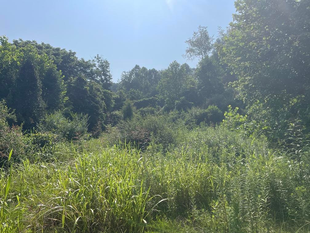 Image for Over 30 Acres in Putnam County