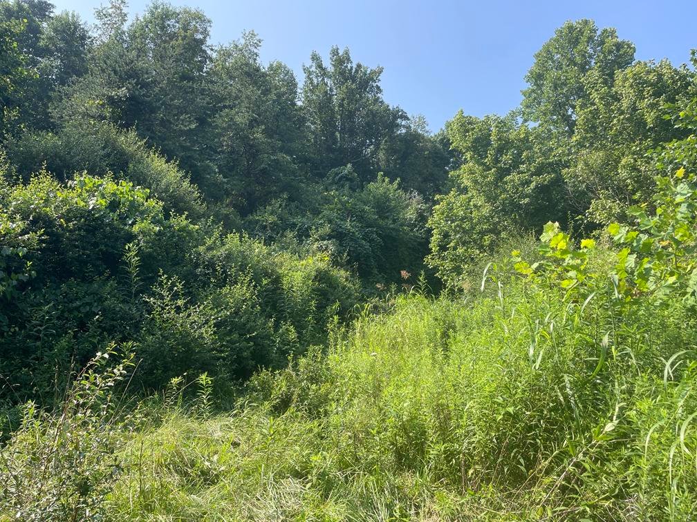Image for Over 30 Acres in Putnam County
