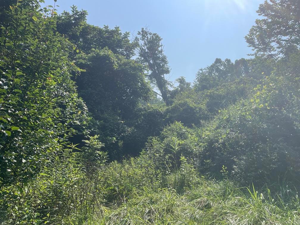 Image for Over 30 Acres in Putnam County