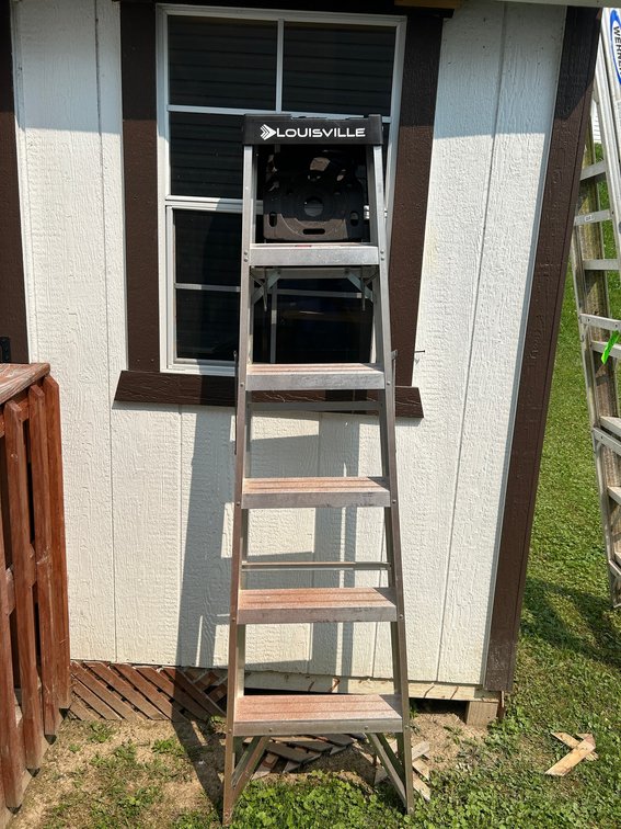 Louisville 6' step ladder