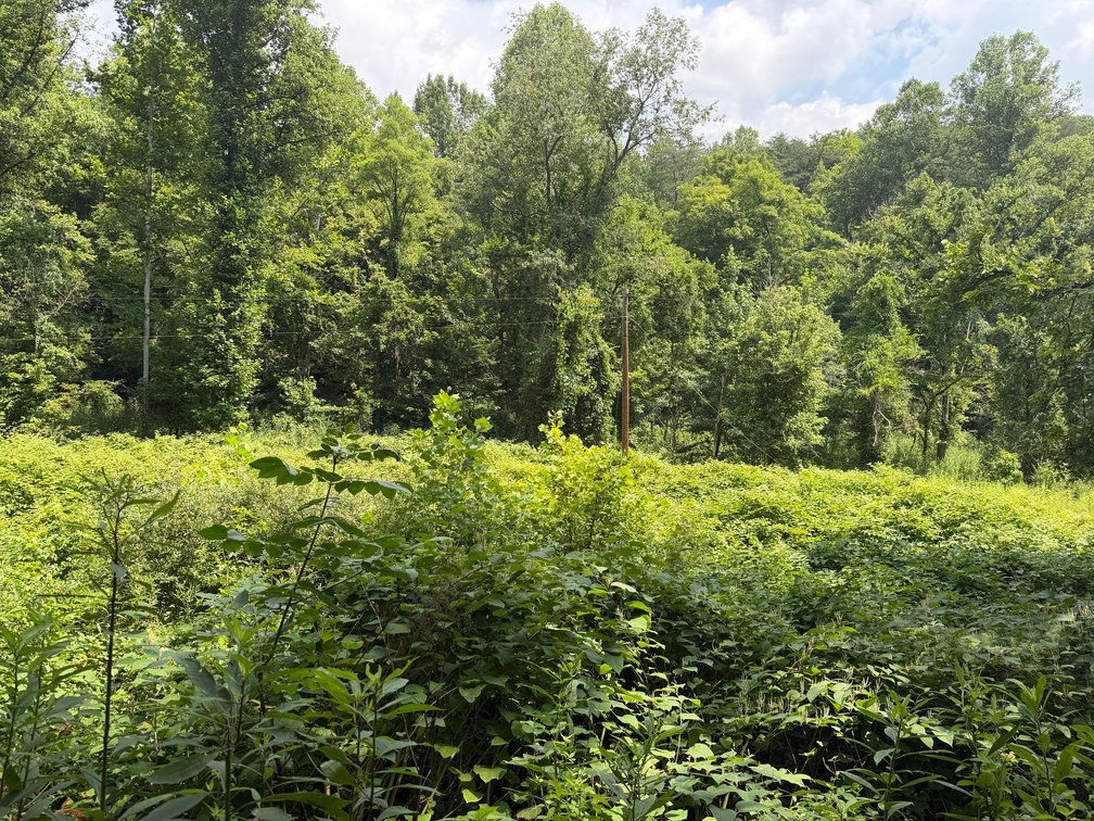 Image for 114 Acres Adjoining to Big Box Brands in Nitro/Cross Lanes Market