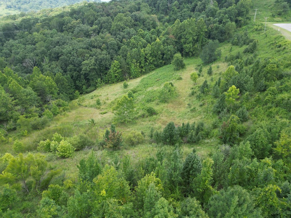 Image for 114 Acres Adjoining to Big Box Brands in Nitro/Cross Lanes Market