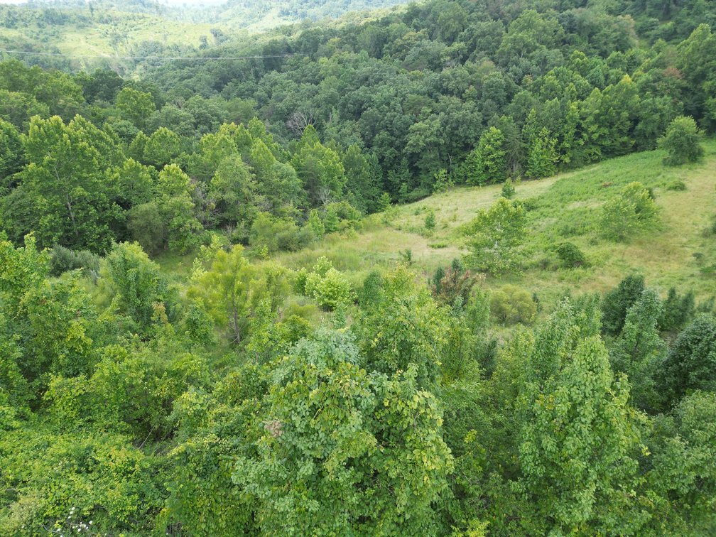 Image for 114 Acres Adjoining to Big Box Brands in Nitro/Cross Lanes Market