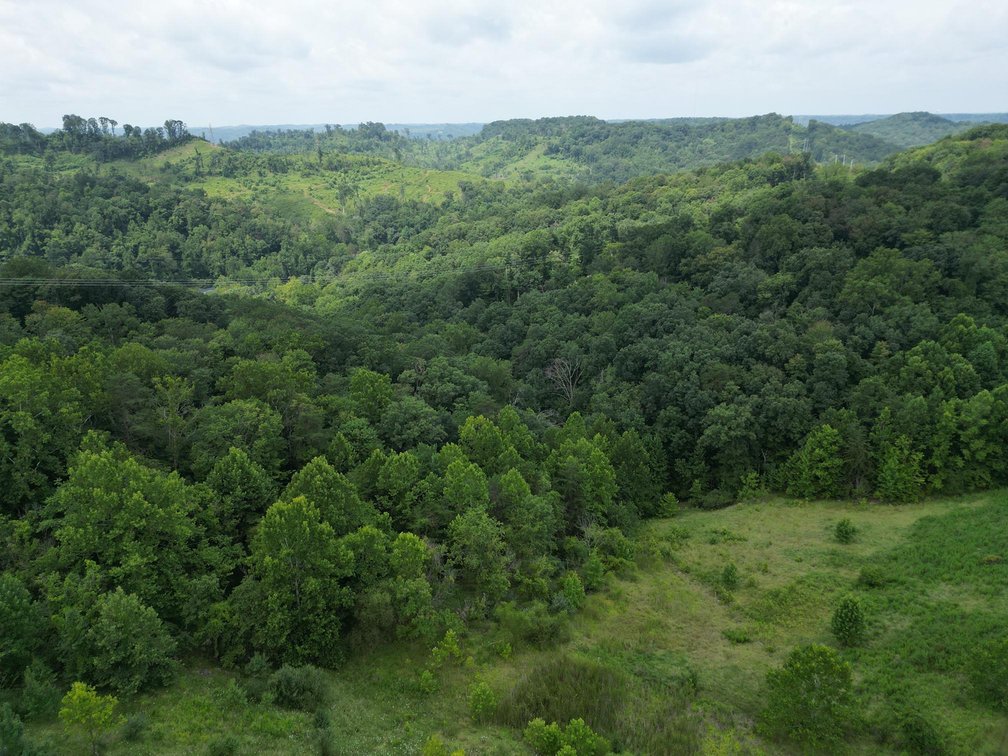 Image for 114 Acres Adjoining to Big Box Brands in Nitro/Cross Lanes Market