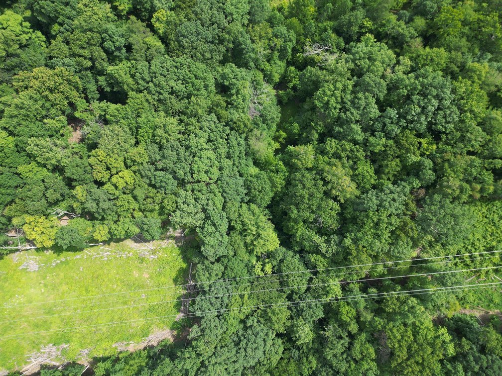 Image for 114 Acres Adjoining to Big Box Brands in Nitro/Cross Lanes Market