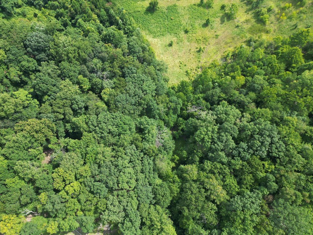 Image for 114 Acres Adjoining to Big Box Brands in Nitro/Cross Lanes Market