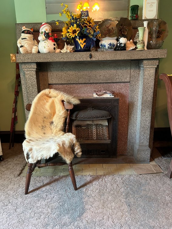 West Virginia Ceramics, Wooden Chair, Animal Pelt, Fireplace Insert