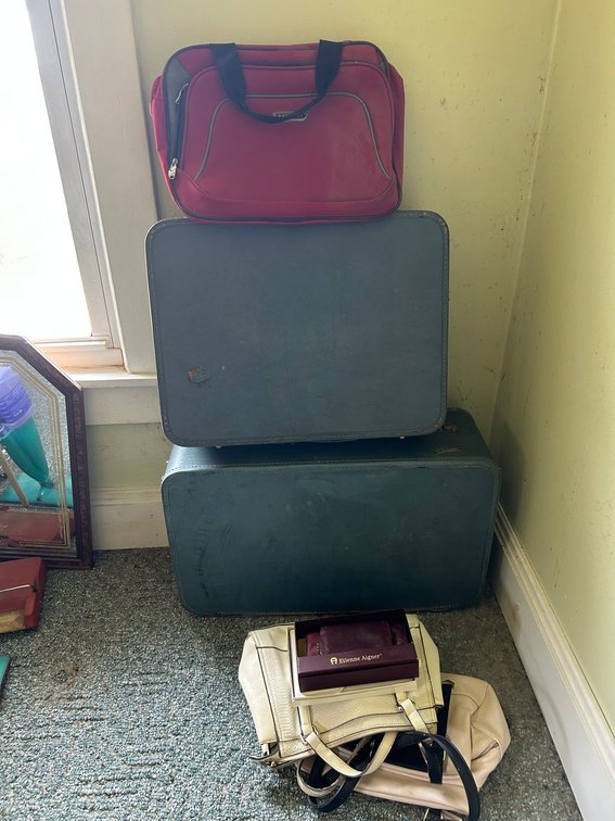 Etienne Aigner Suitcases, Handbags, Wallet
