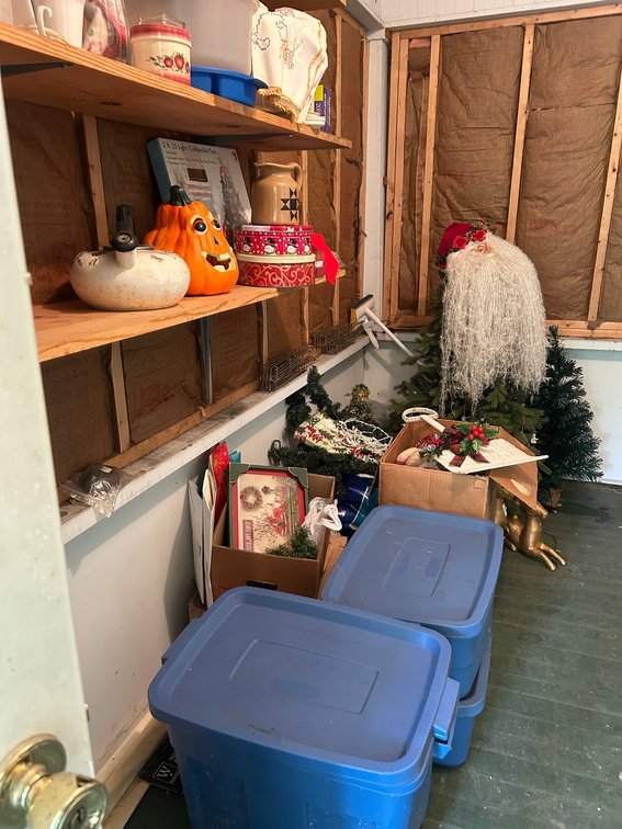 Storage Totes, Holiday Decor, Household Items, and More