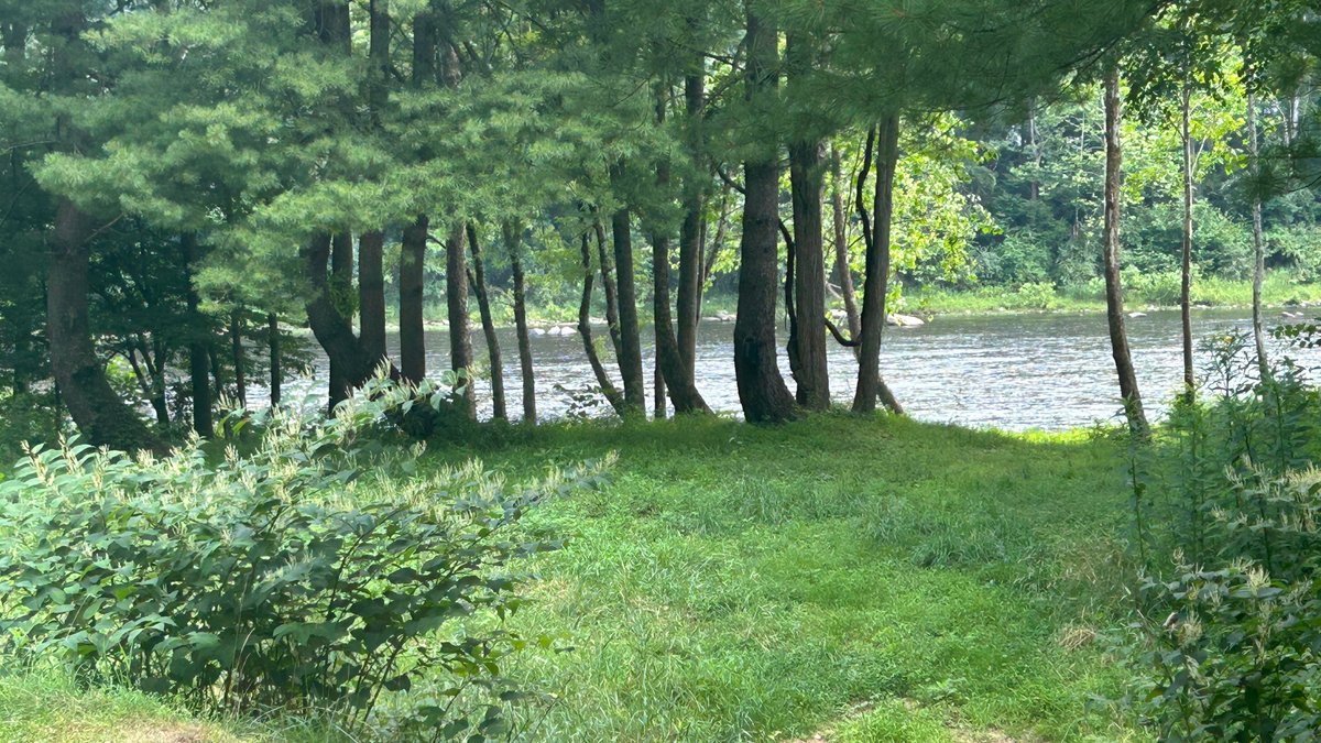 Image for Cheat River Retreat – Home on 1.20 Acres with River Frontage