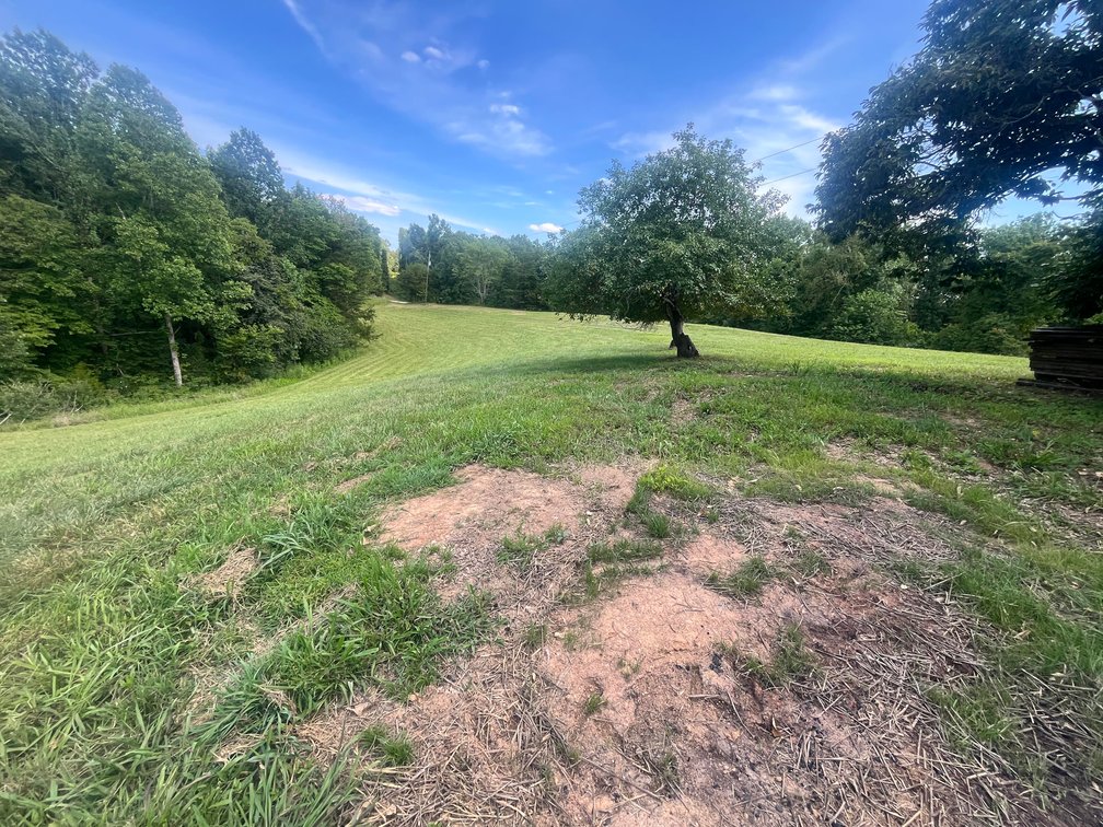 Image for SOLD $165,000 - 16 Acres with a 3-Bedroom Home near Charleston