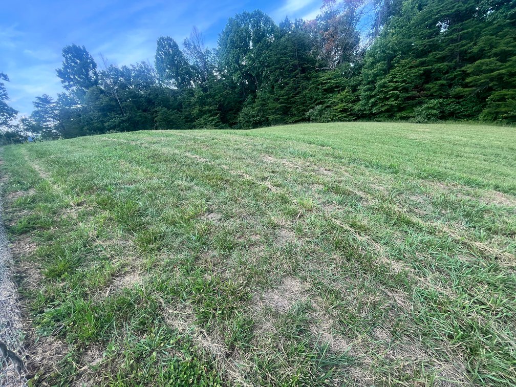 Image for SOLD $165,000 - 16 Acres with a 3-Bedroom Home near Charleston