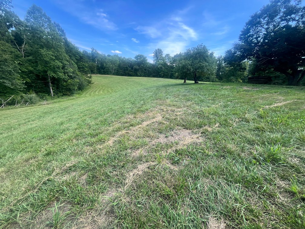 Image for SOLD $165,000 - 16 Acres with a 3-Bedroom Home near Charleston