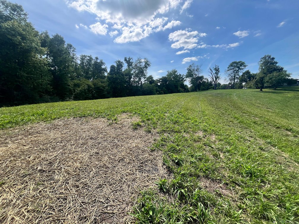 Image for SOLD $165,000 - 16 Acres with a 3-Bedroom Home near Charleston