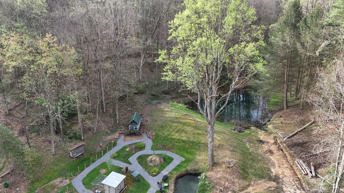 Image for SOLD $260,000 - 22 Acres with a Remodeled 19th Century 3 Bedroom Cabin in Harrison County
