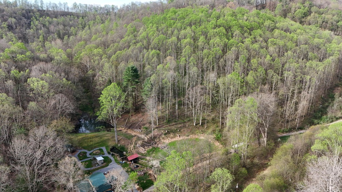 Image for SOLD $260,000 - 22 Acres with a Remodeled 19th Century 3 Bedroom Cabin in Harrison County