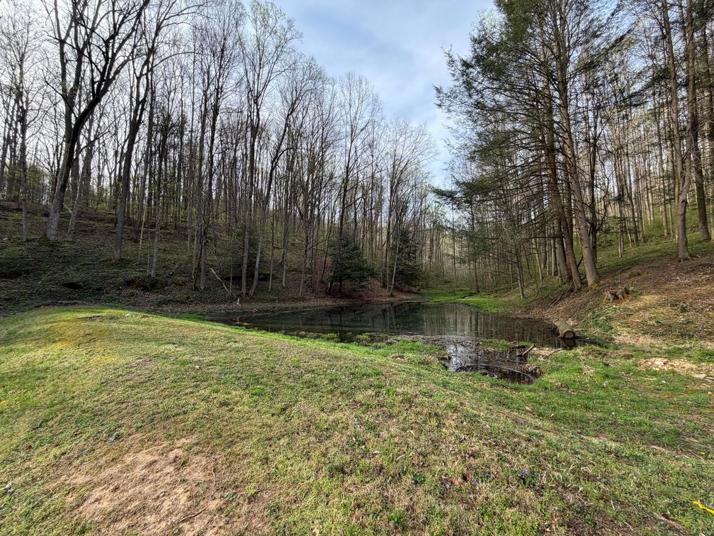 Image for SOLD $260,000 - 22 Acres with a Remodeled 19th Century 3 Bedroom Cabin in Harrison County