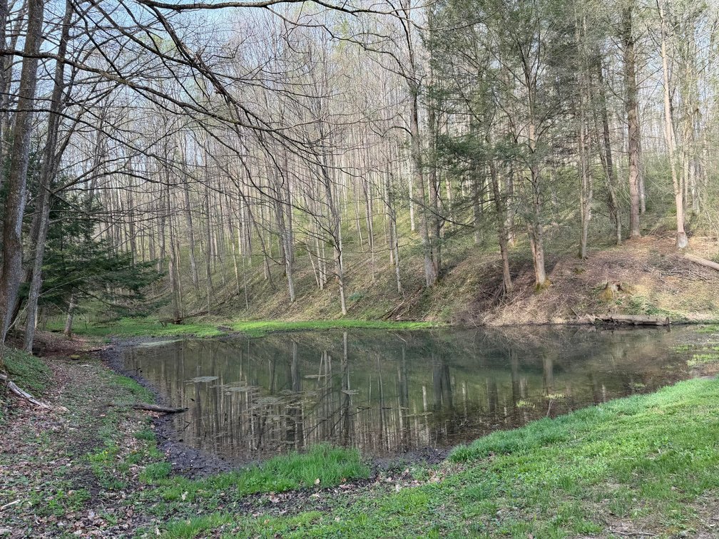Image for SOLD $260,000 - 22 Acres with a Remodeled 19th Century 3 Bedroom Cabin in Harrison County