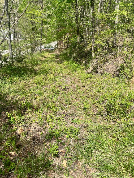Image for SOLD $26,950 - 2 Bedroom Project Home on Over an Acre near Charleston