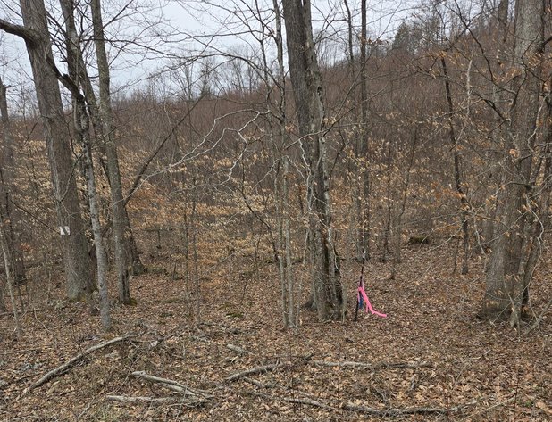 Image for SOLD $36,300 - 5 Surveyed Acres in Fayette County