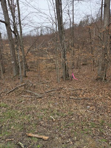 Image for SOLD $36,300 - 5 Surveyed Acres in Fayette County