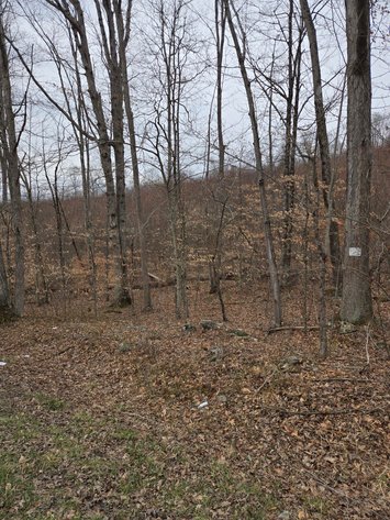 Image for SOLD $36,300 - 5 Surveyed Acres in Fayette County