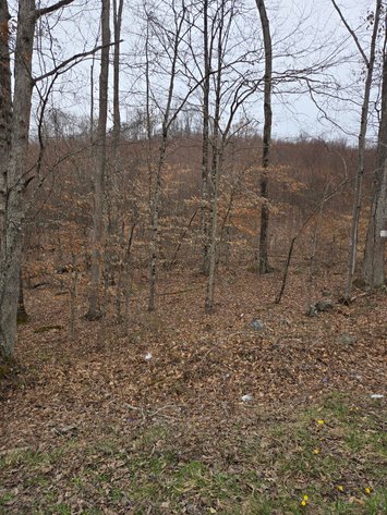 Image for SOLD $36,300 - 5 Surveyed Acres in Fayette County