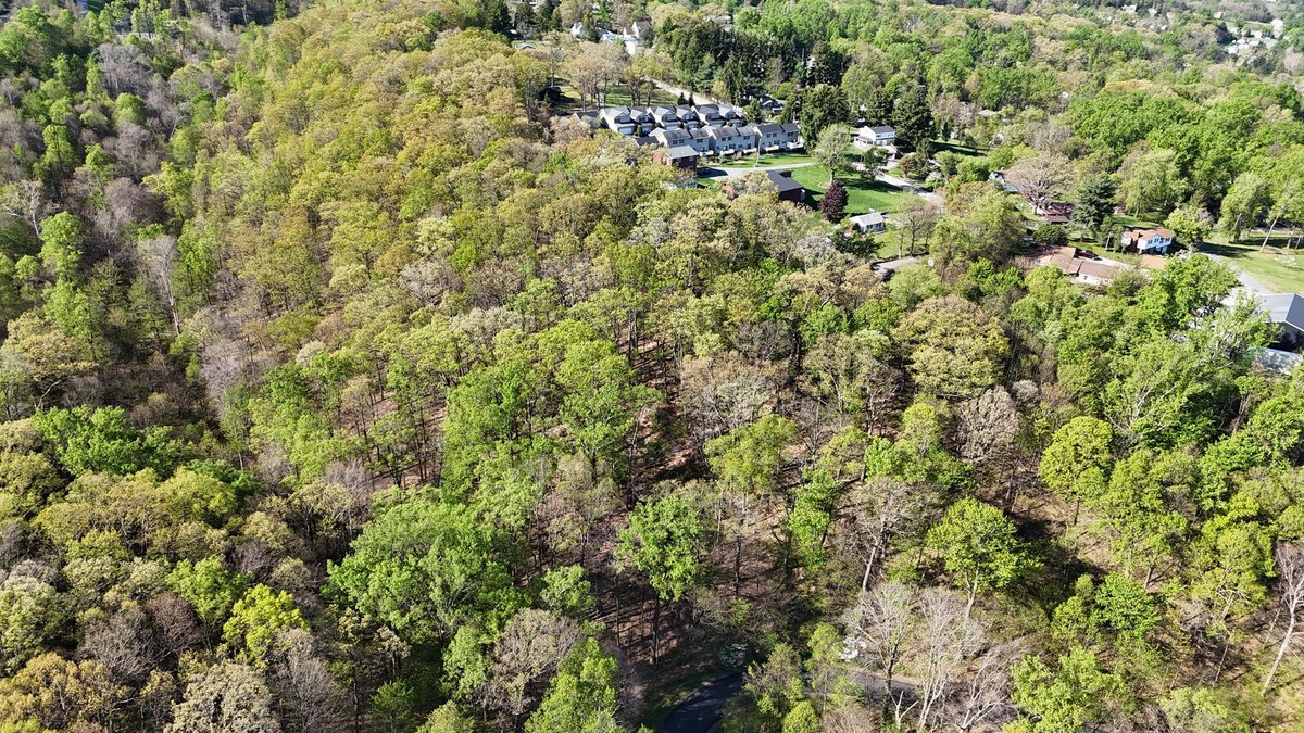 Image for SOLD - 3 Tracts in Mon County for Development Selling to the Highest Bidders