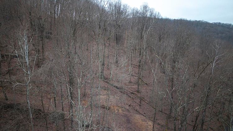Image for SOLD $60,500 - 9 ½ Acres off Grafton Road in Morgantown