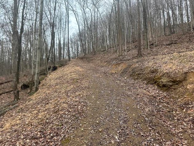 Image for SOLD $60,500 - 9 ½ Acres off Grafton Road in Morgantown